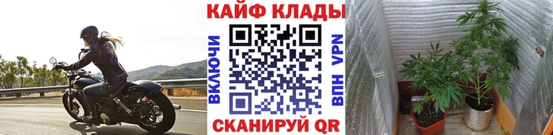 Какие есть наркотики Отрадное ГАШ  КОКАИН  АМФЕТАМИН  МЕФ 