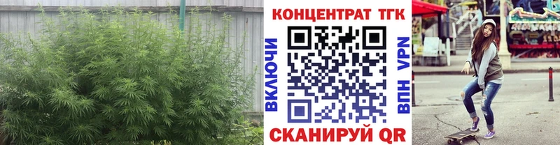ссылка на мегу зеркало  Отрадное  Дистиллят ТГК вейп с тгк  как найти закладки 