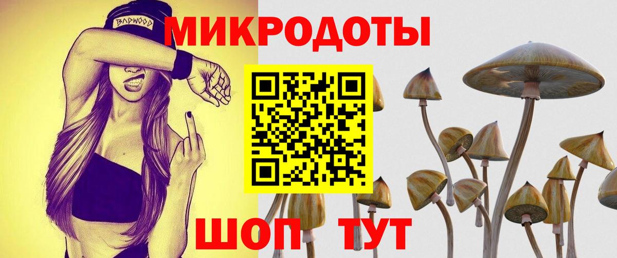 Отрадное  где найти   Вход с VPN  Галлюциногенные грибы Psilocybine cubensis 