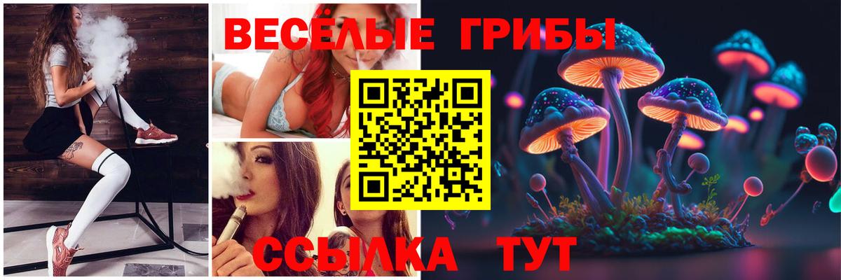 Псилоцибиновые грибы мицелий Отрадное