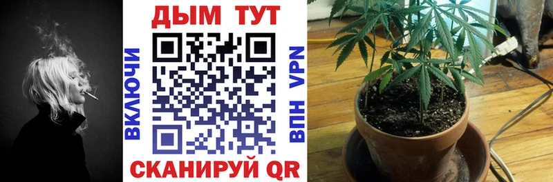 цены наркотик  Отрадное  Каннабис гибрид 